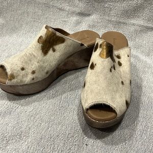 Chocolat Blu! Fun print metallic wedge! Worn 2 times at most! Good condition